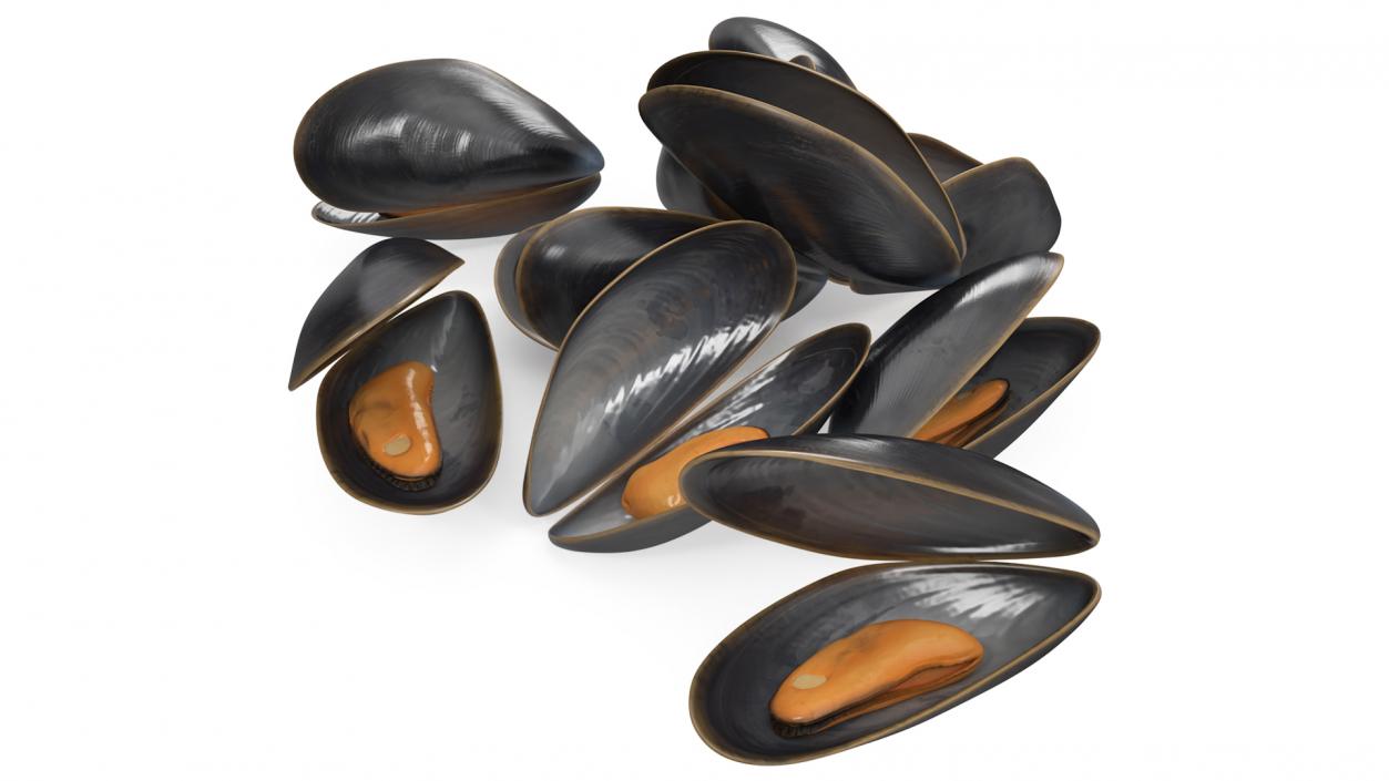 Pile of Boiled Mussels 3D