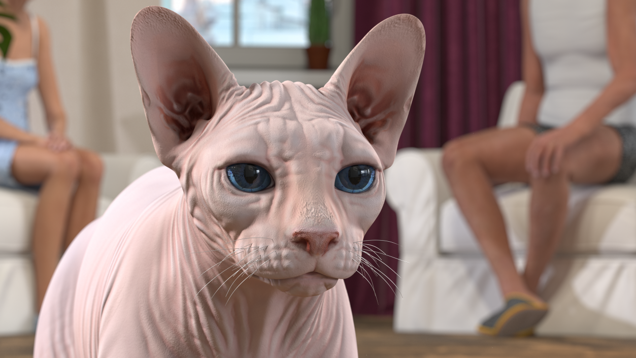 Cream White Sphynx Cat 3D