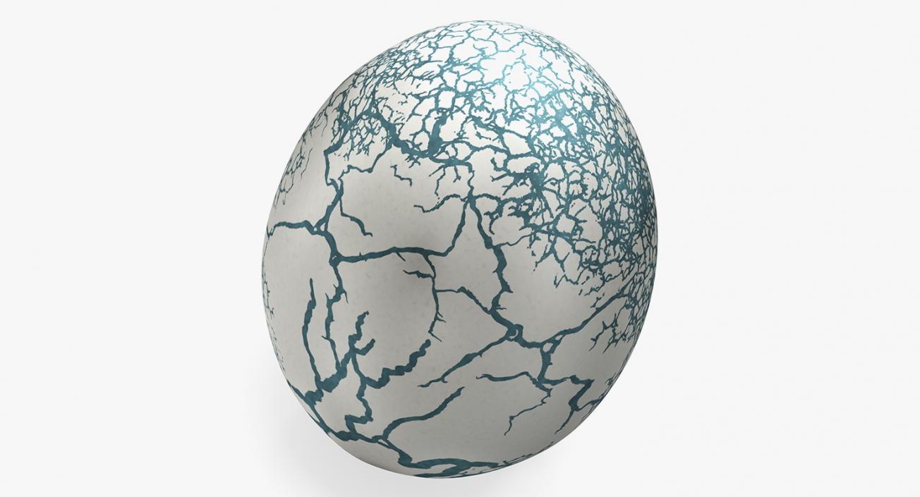 3D Dinosaur Egg Collection model