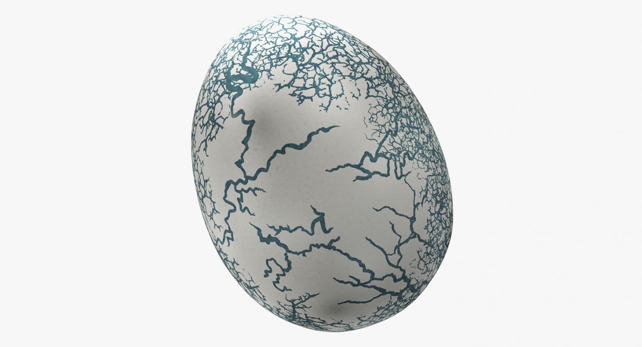 3D Dinosaur Egg Collection model