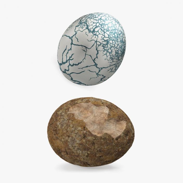 3D Dinosaur Egg Collection model