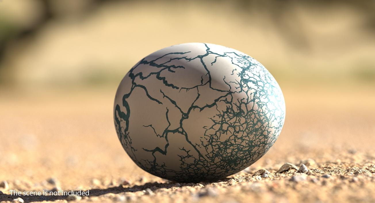 3D Dinosaur Egg Collection model