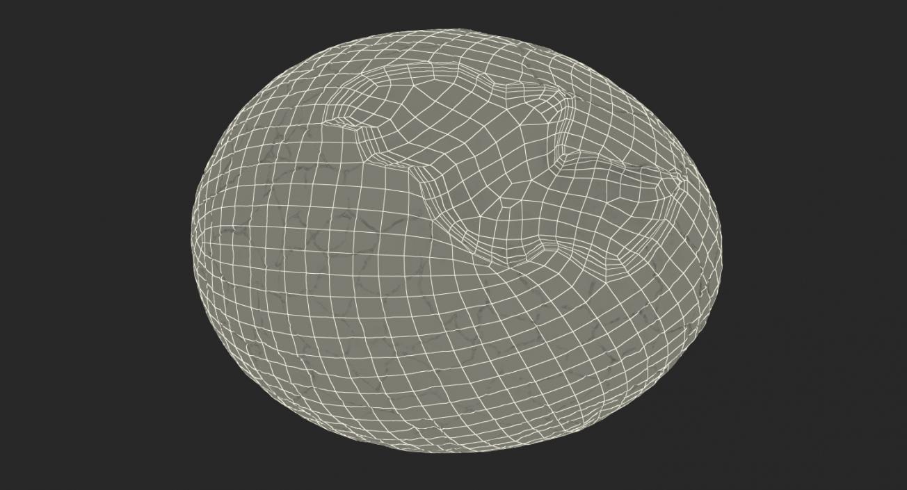 3D Dinosaur Egg Collection model