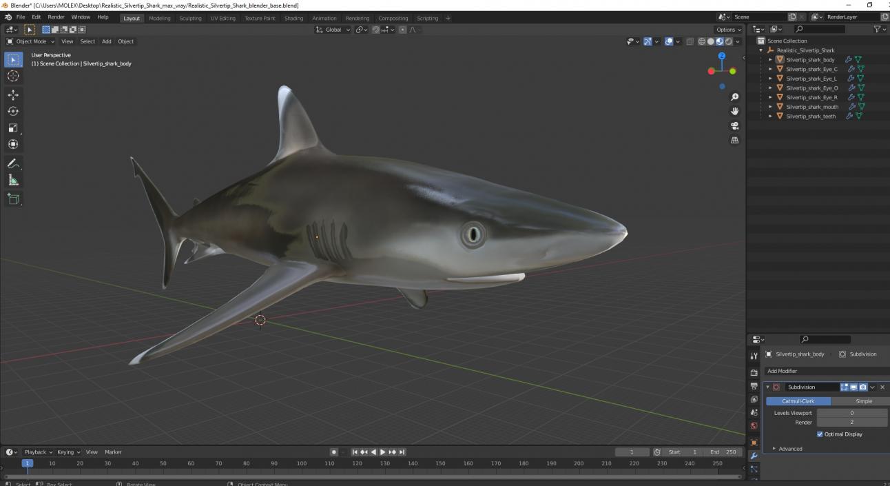 3D model Realistic Silvertip Shark