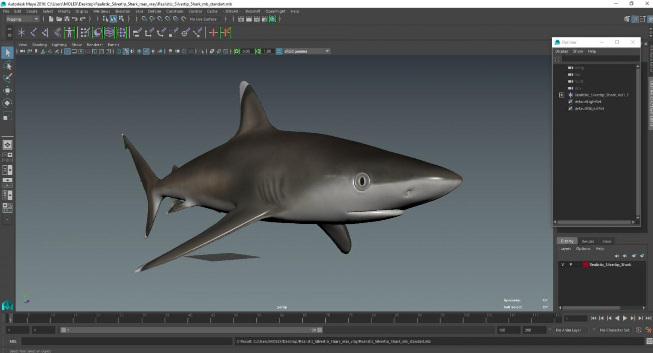 3D model Realistic Silvertip Shark