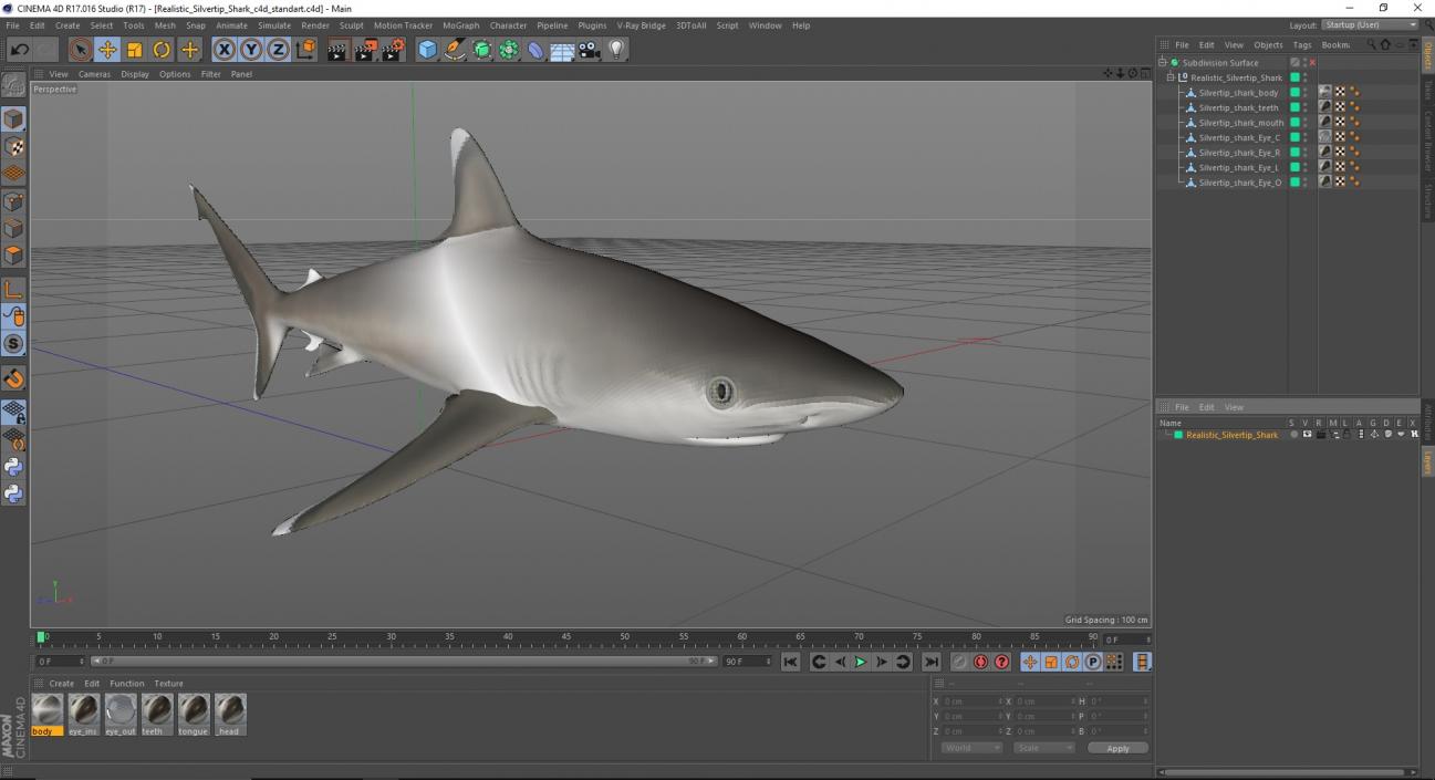 3D model Realistic Silvertip Shark