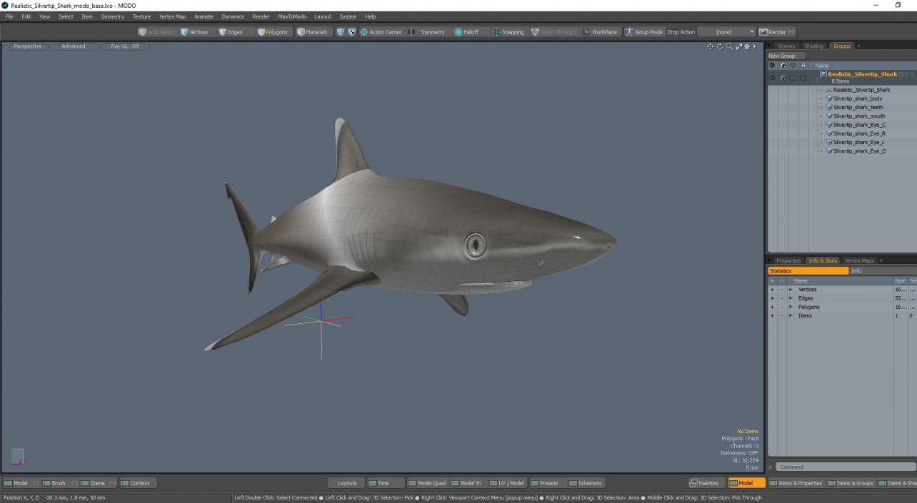 3D model Realistic Silvertip Shark