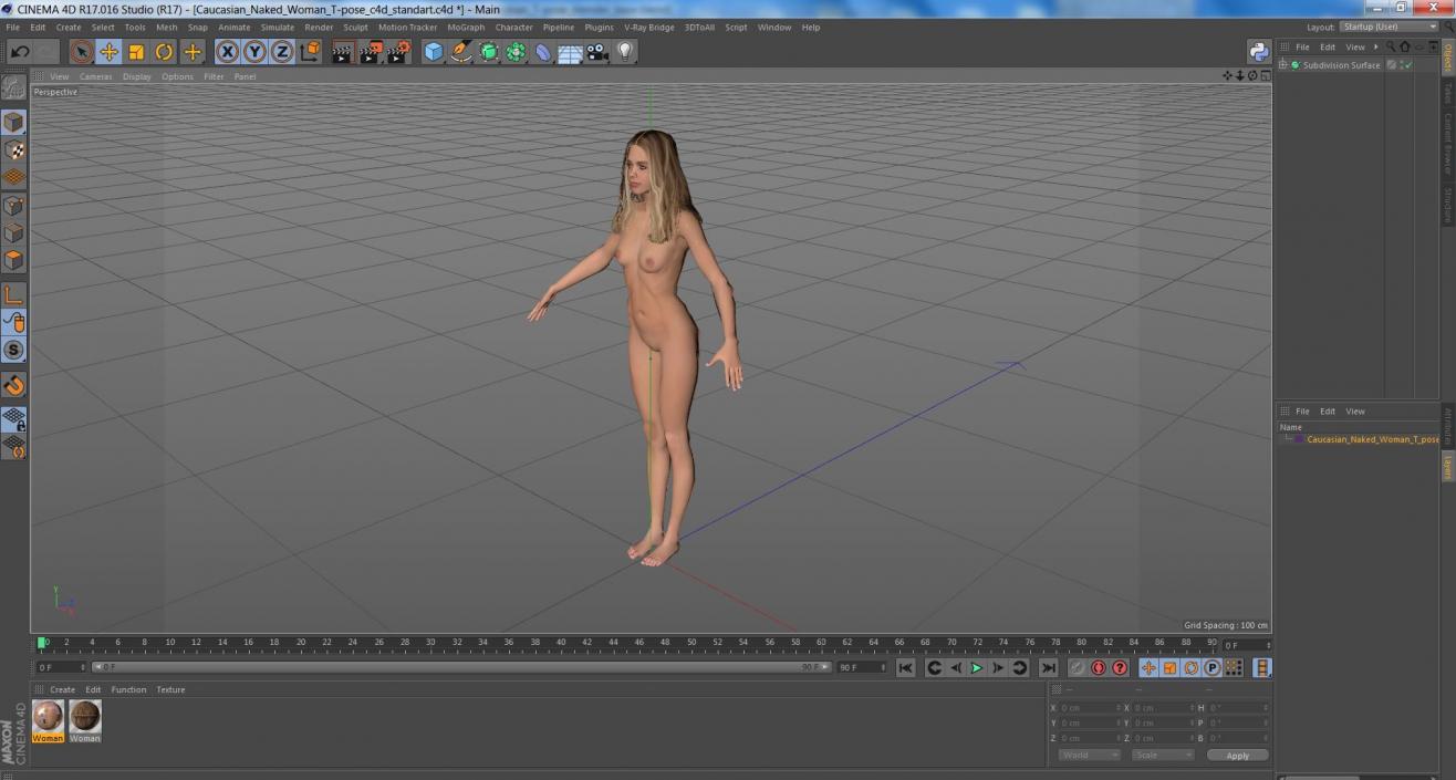 3D Caucasian Naked Woman T-pose model