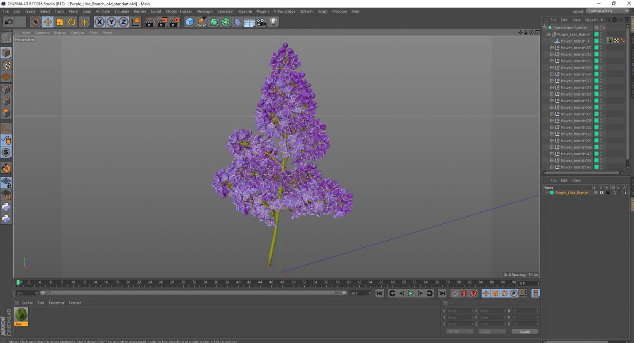 Purple Lilac Branch 3D model