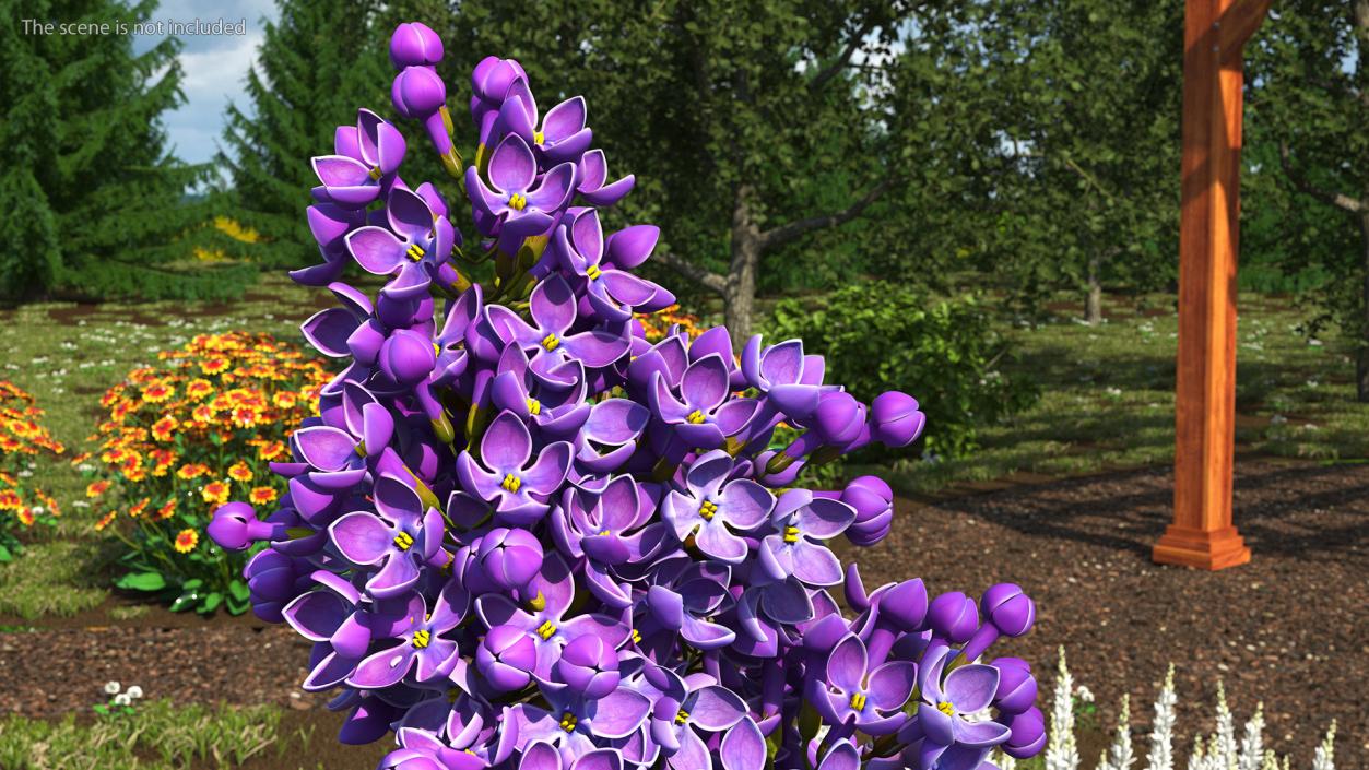 Purple Lilac Branch 3D model