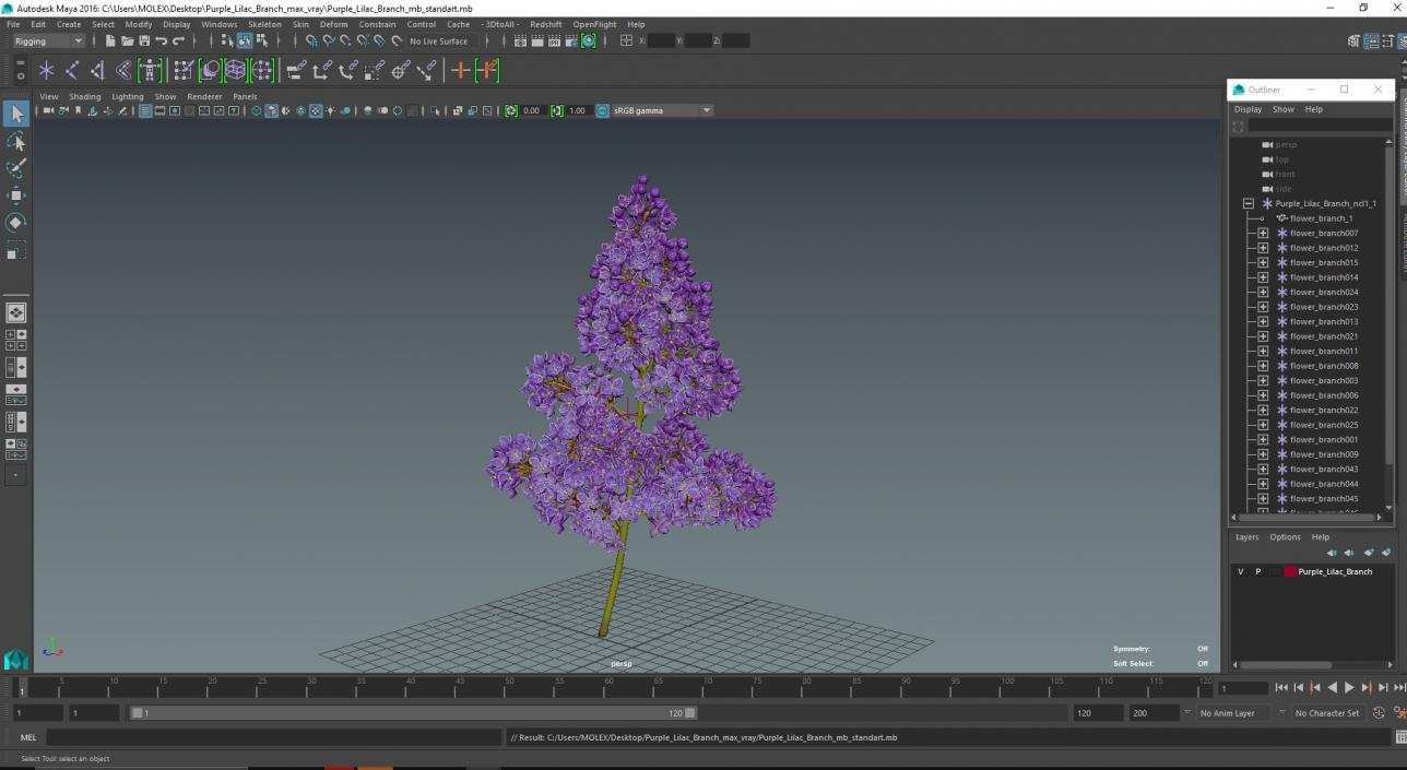 Purple Lilac Branch 3D model