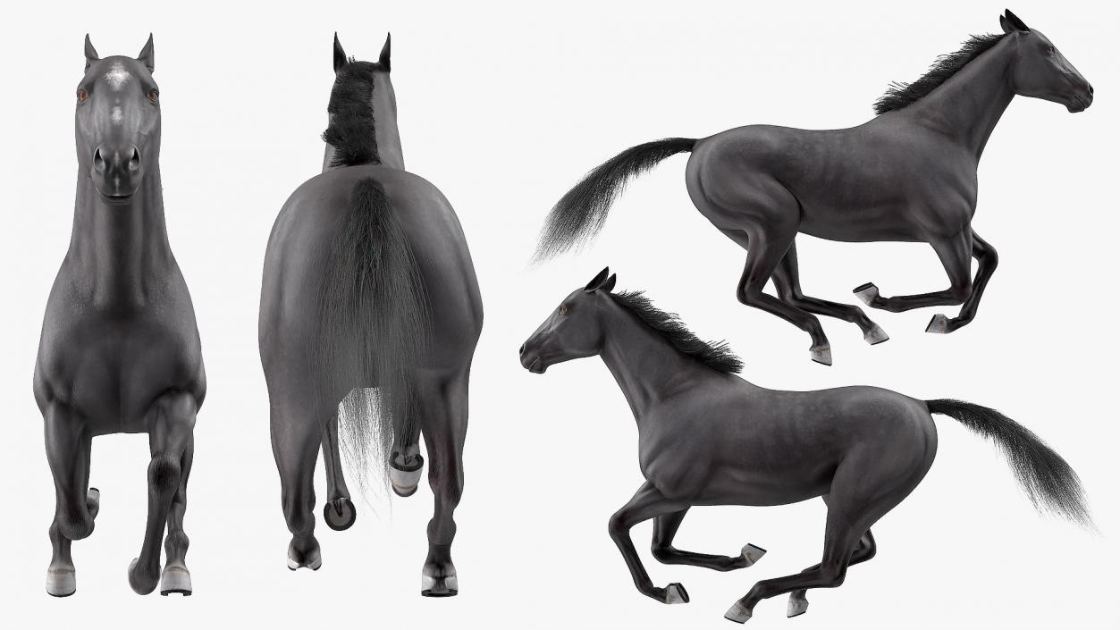 3D Gallop Pose Horse Fur