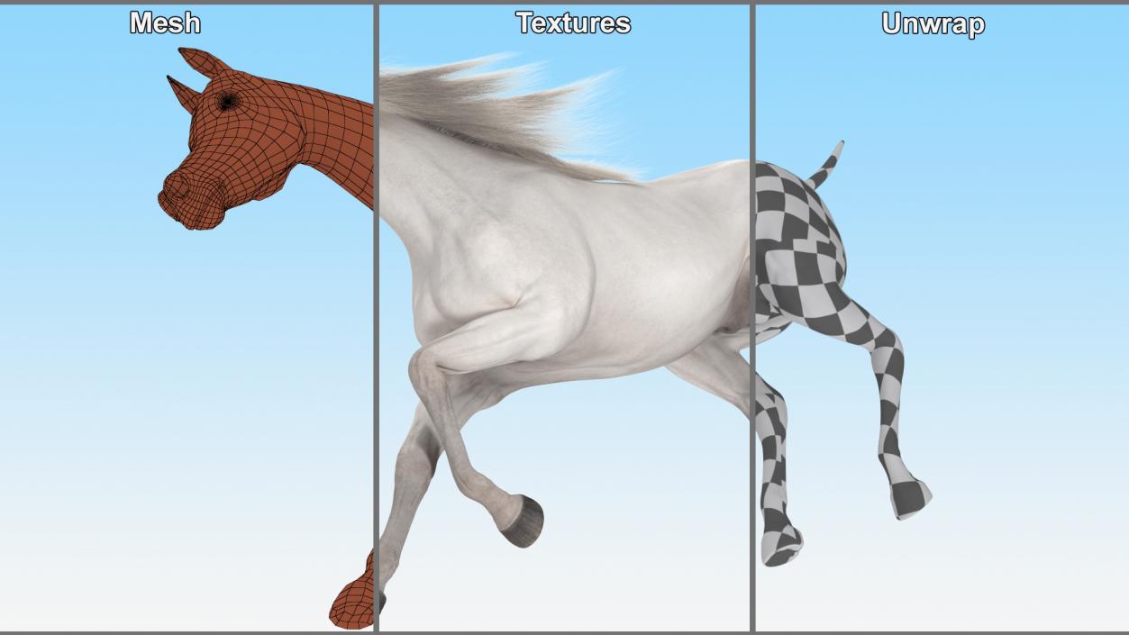 3D Galloping Arabian Horse White Fur model