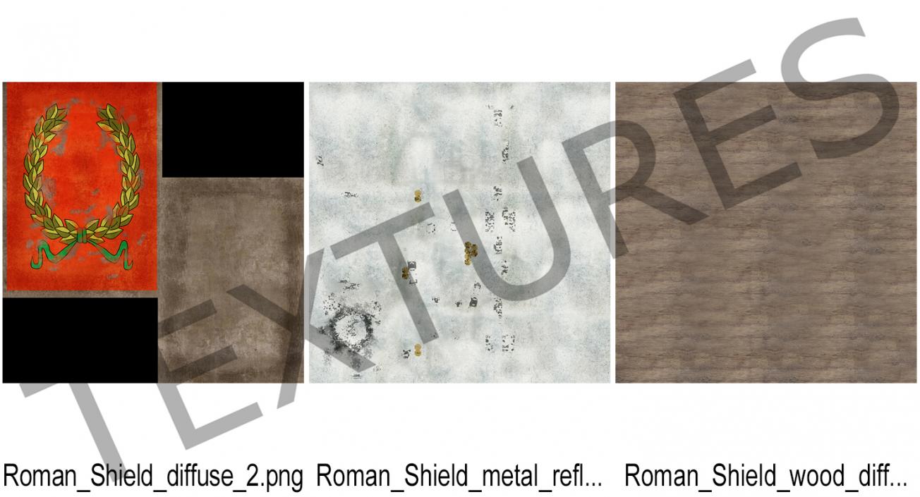 Roman Scutum Shield 3D model