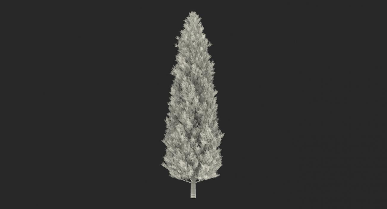 3D model Summer Trees Collection 2