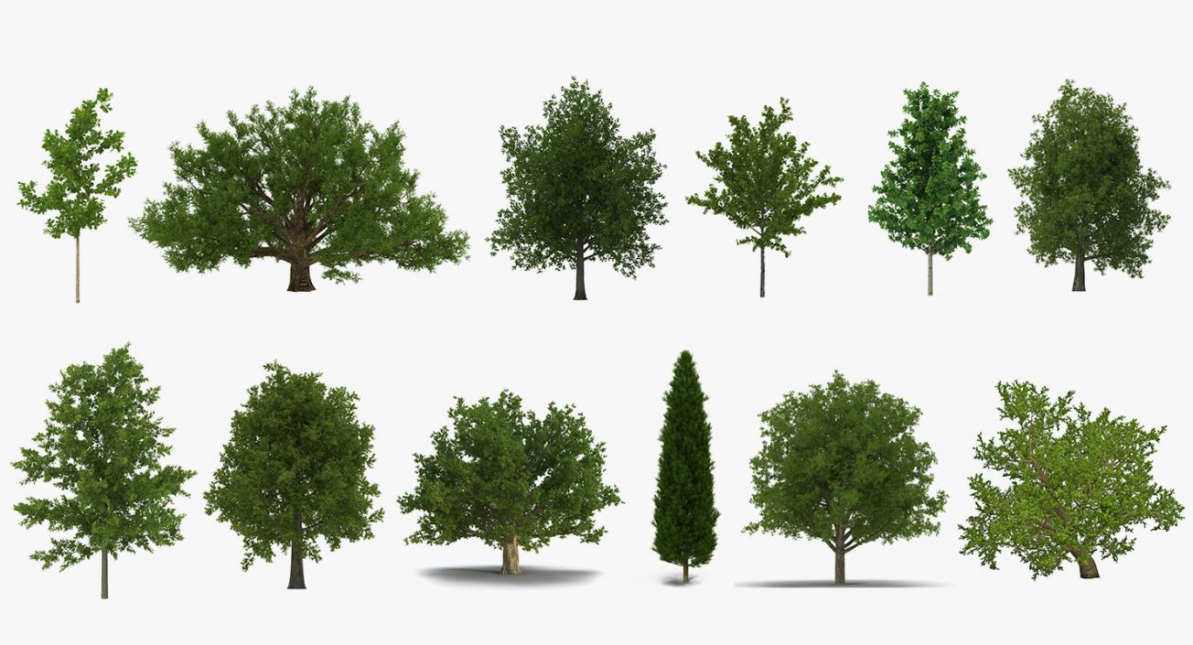 3D model Summer Trees Collection 2