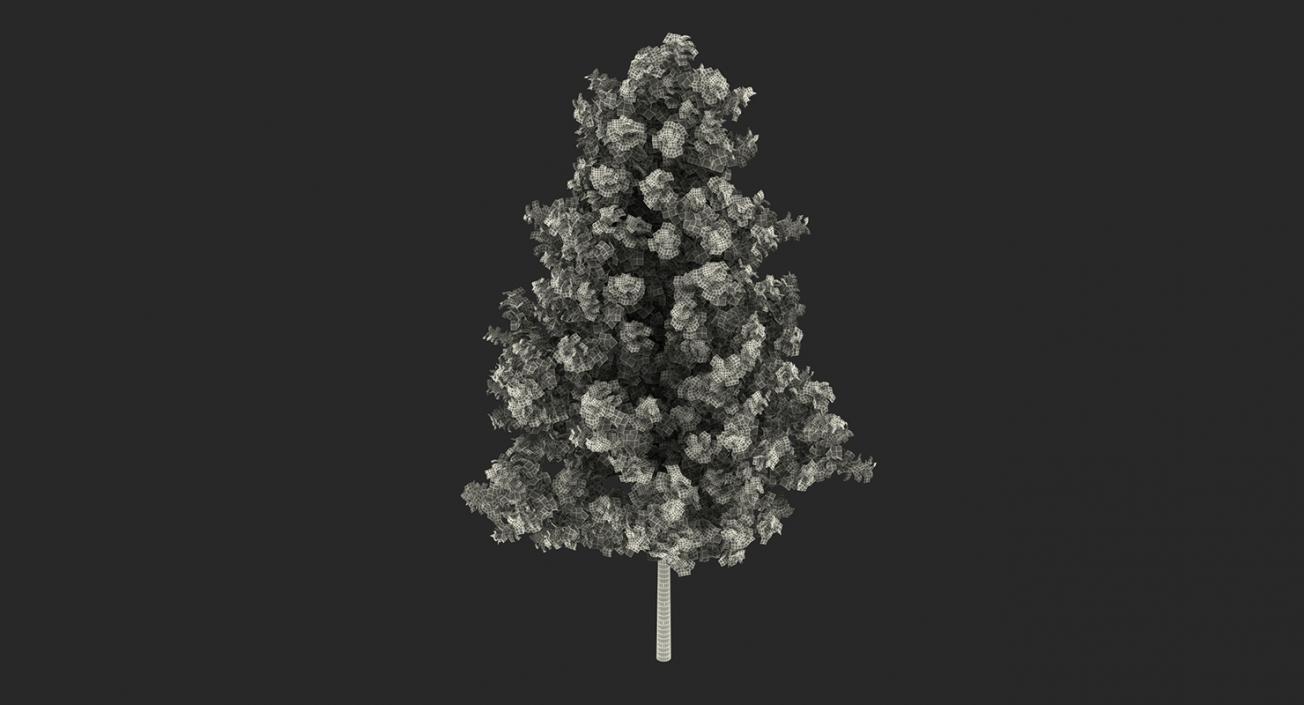 3D model Summer Trees Collection 2