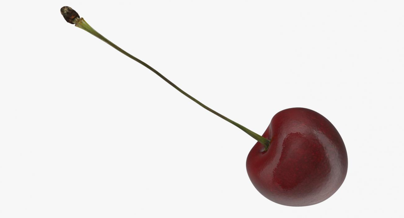 3D model Cherry