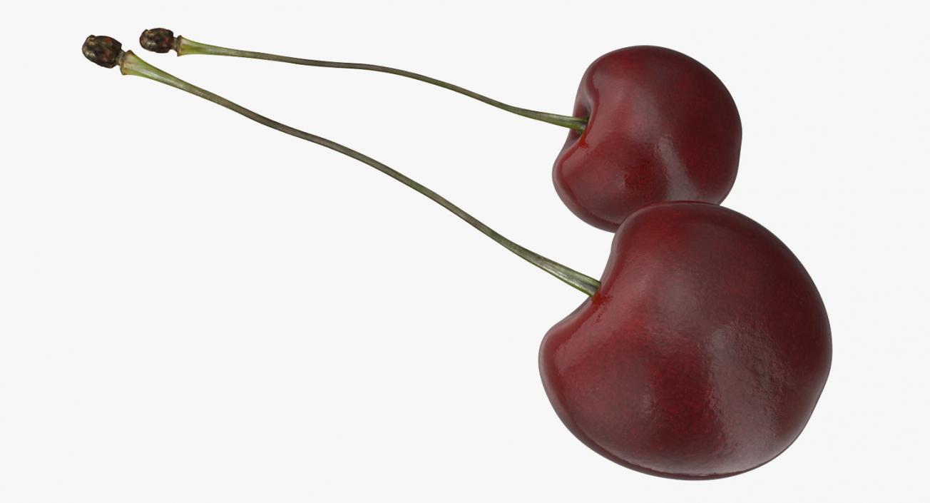 3D model Cherry