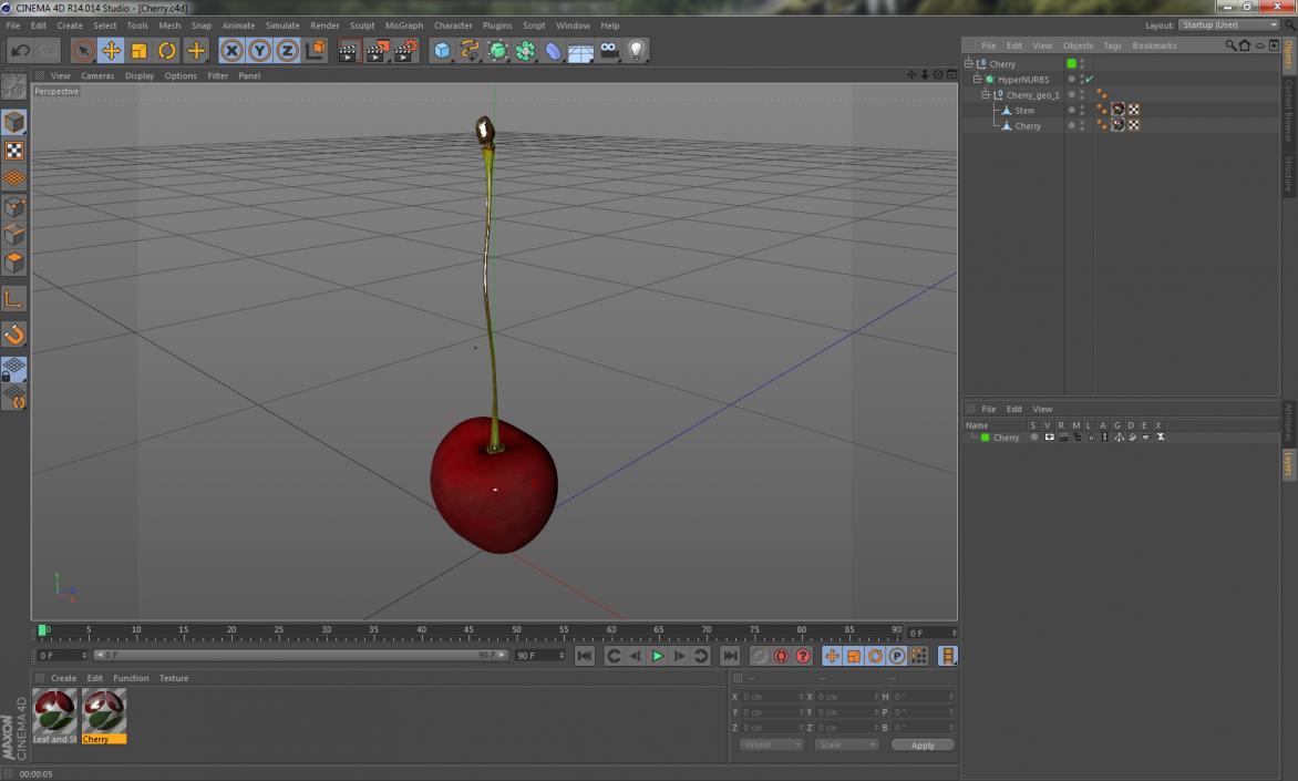 3D model Cherry