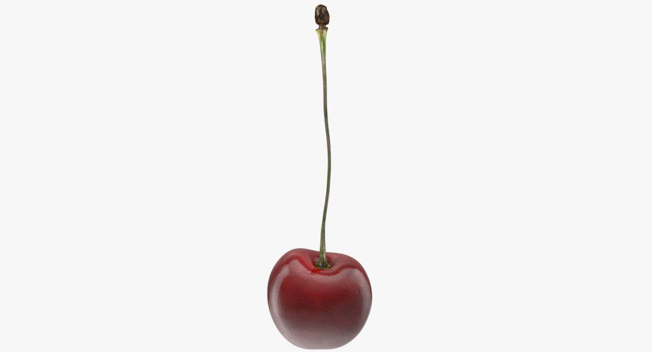 3D model Cherry