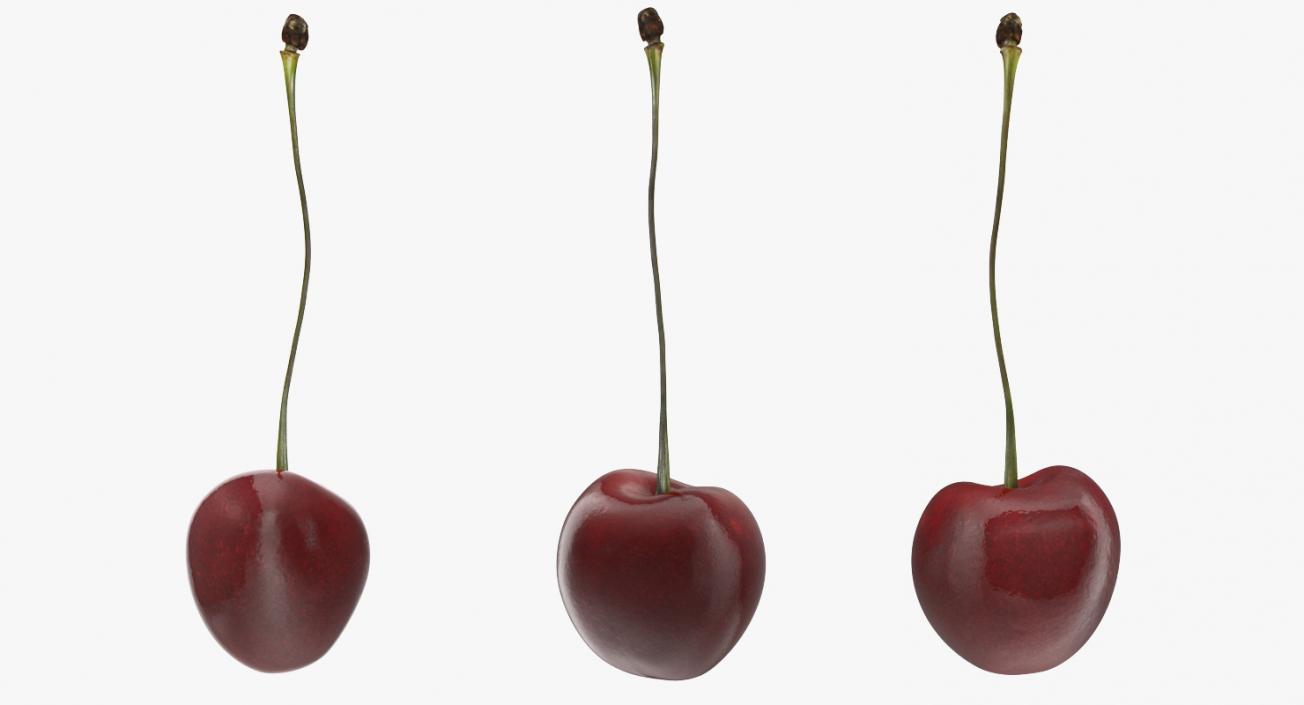 3D model Cherry