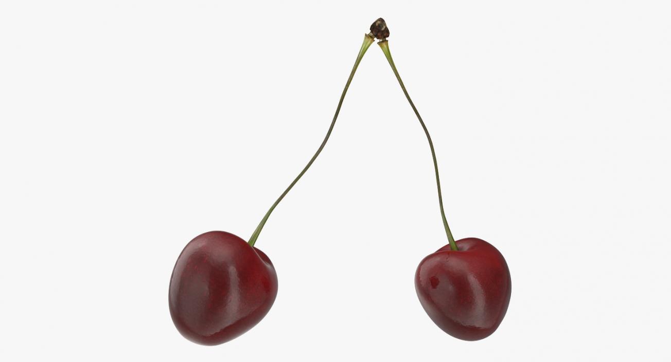 3D model Cherry