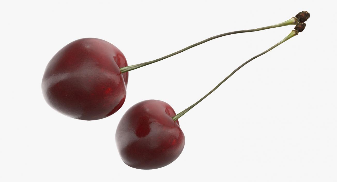 3D model Cherry