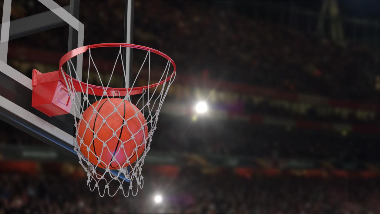 3D model Animated Basketball Collection