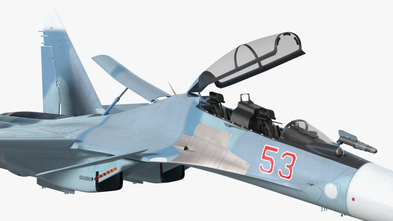 Su-30 Rigged 3D