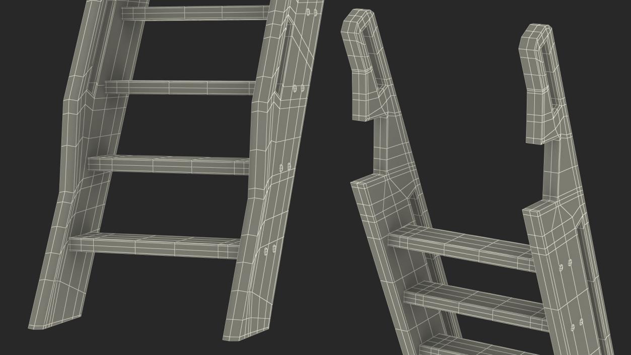 3D Wooden Ladder model