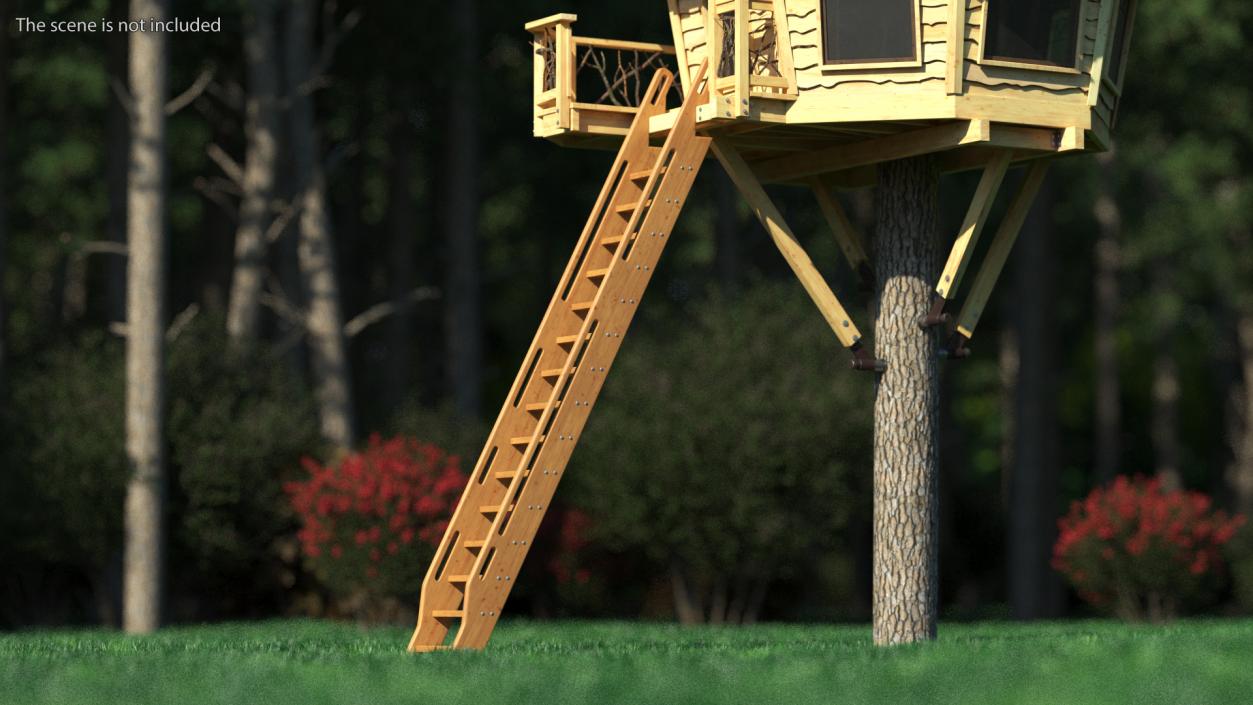 3D Wooden Ladder model