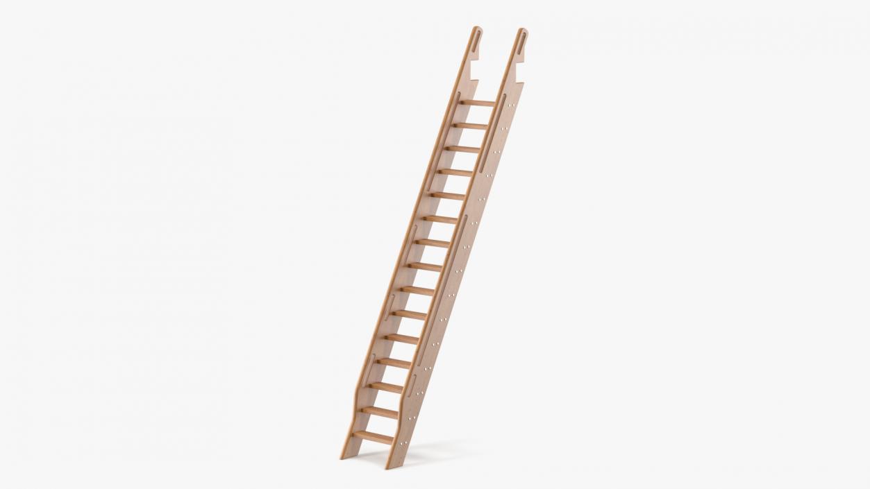 3D Wooden Ladder model