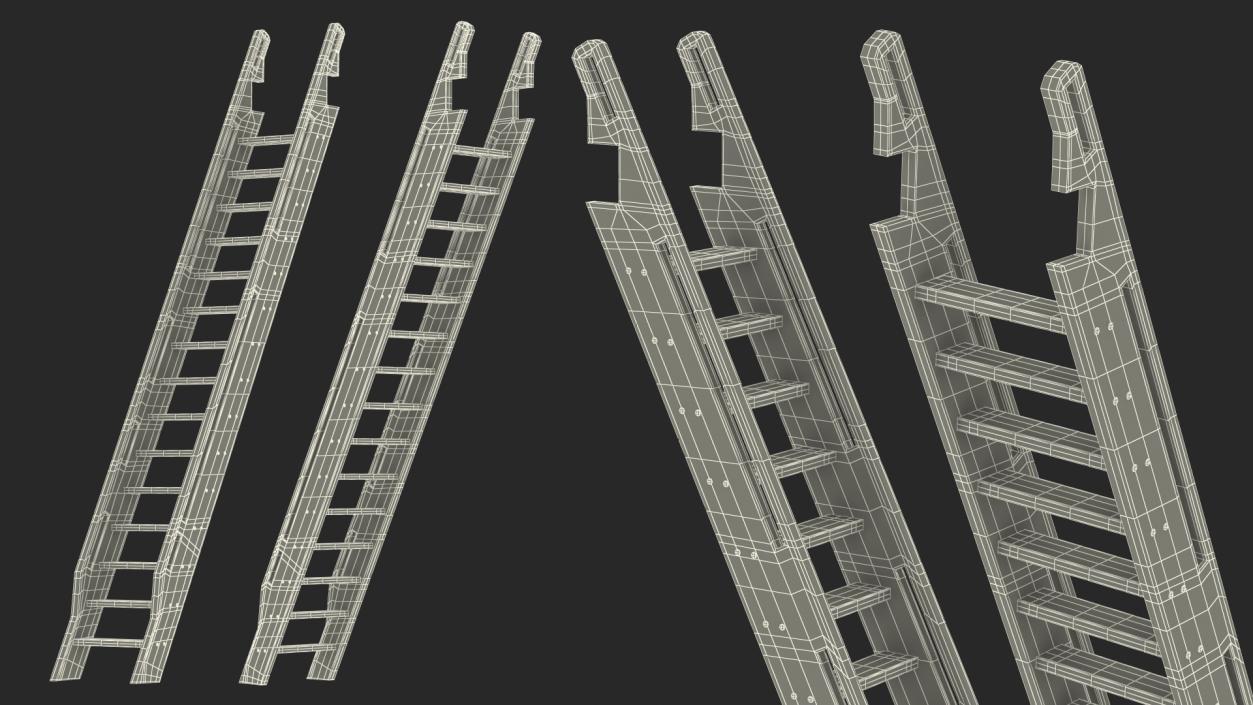 3D Wooden Ladder model