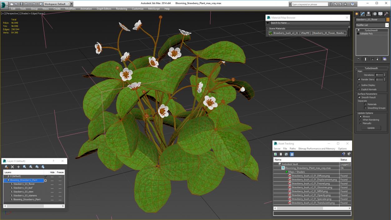 3D model Blooming Strawberry Plant