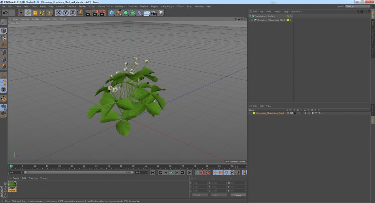 3D model Blooming Strawberry Plant