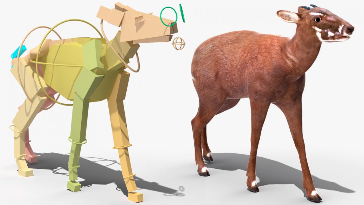 3D Saola Rigged for Maya 3 model