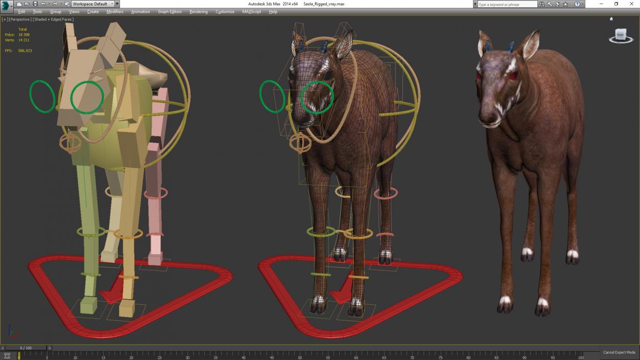 3D Saola Rigged for Maya 3 model