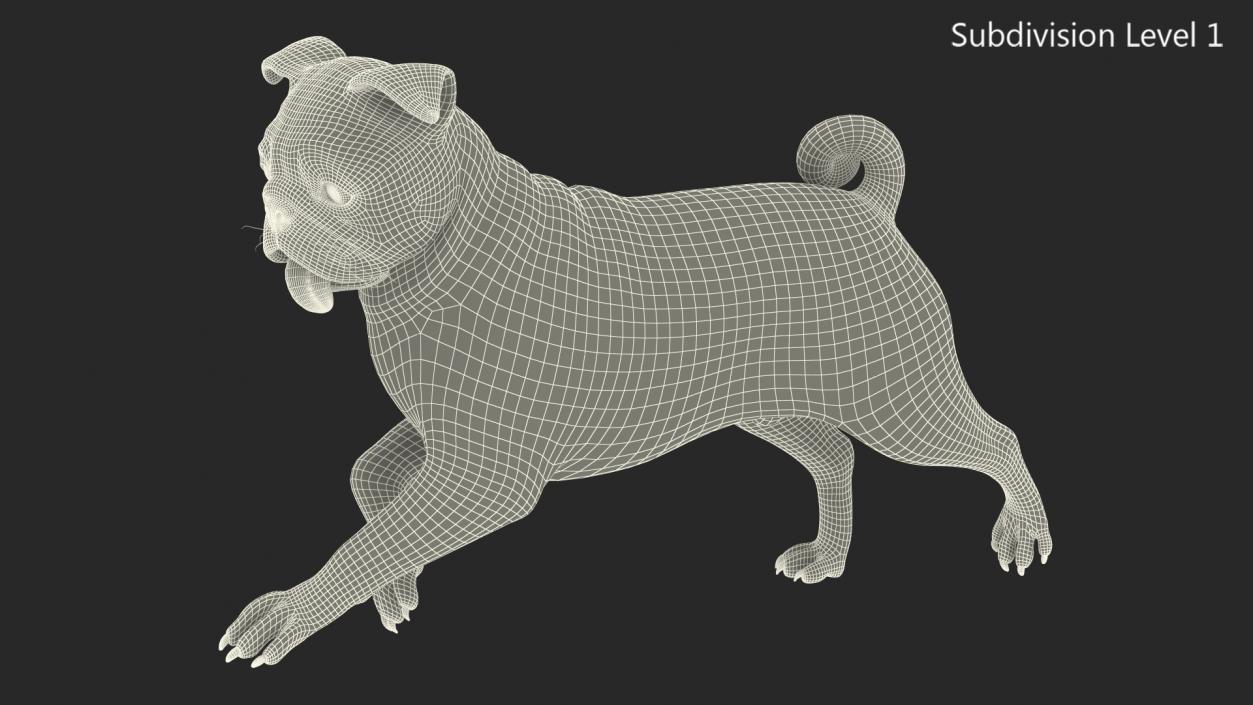 3D model Pug Dog Run Pose Fur