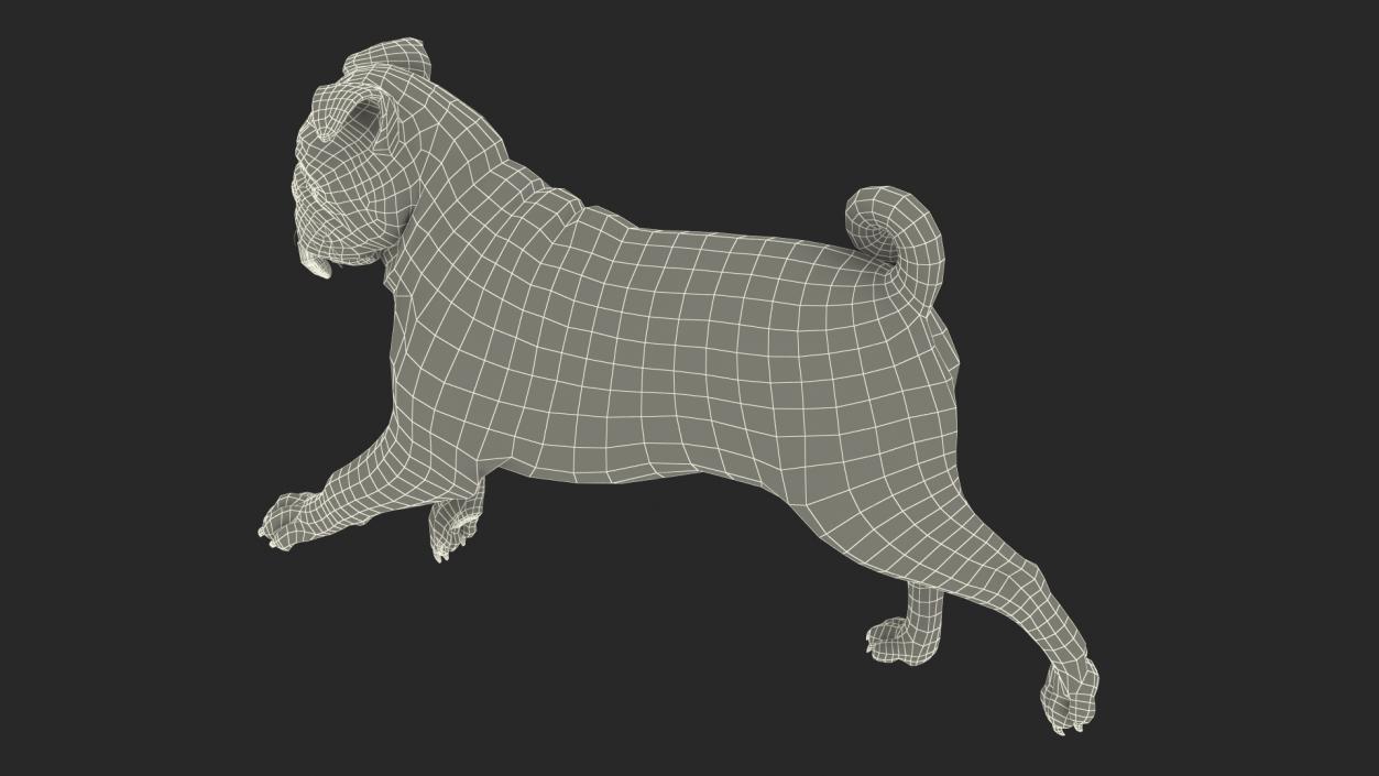 3D model Pug Dog Run Pose Fur