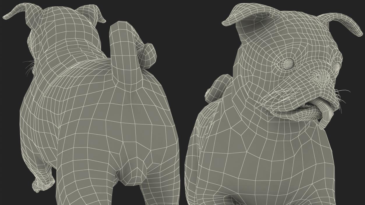 3D model Pug Dog Run Pose Fur