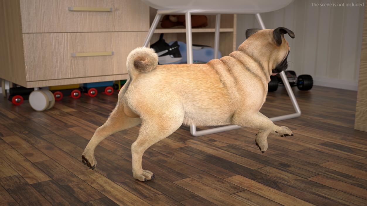 3D model Pug Dog Run Pose Fur