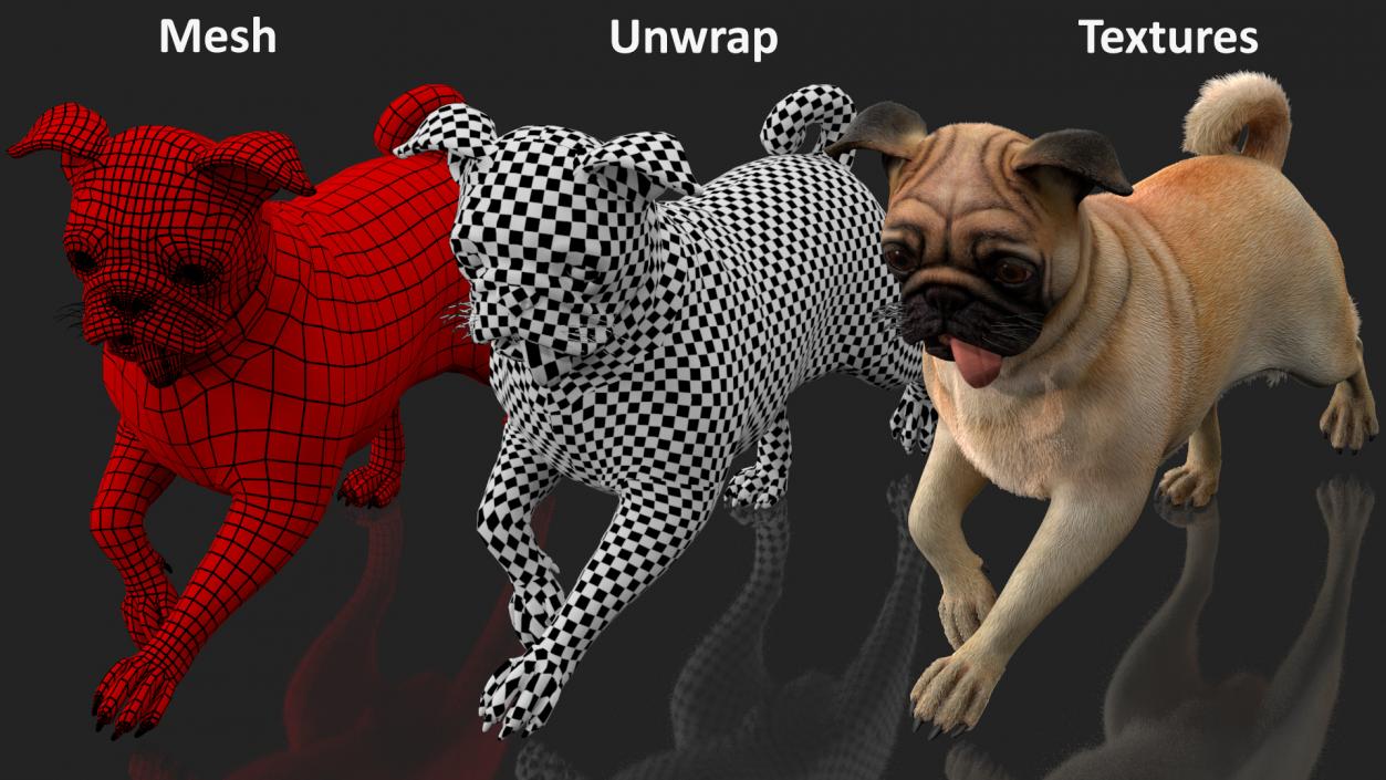 3D model Pug Dog Run Pose Fur