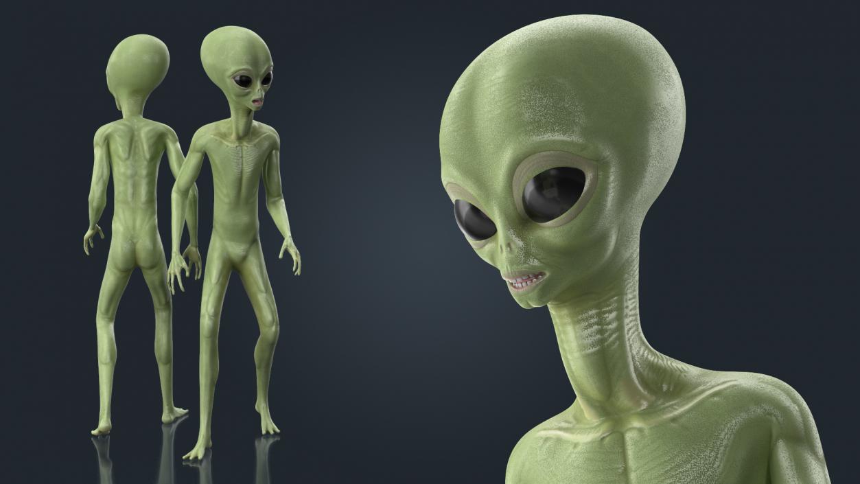 3D model Cartoon Alien Rigged