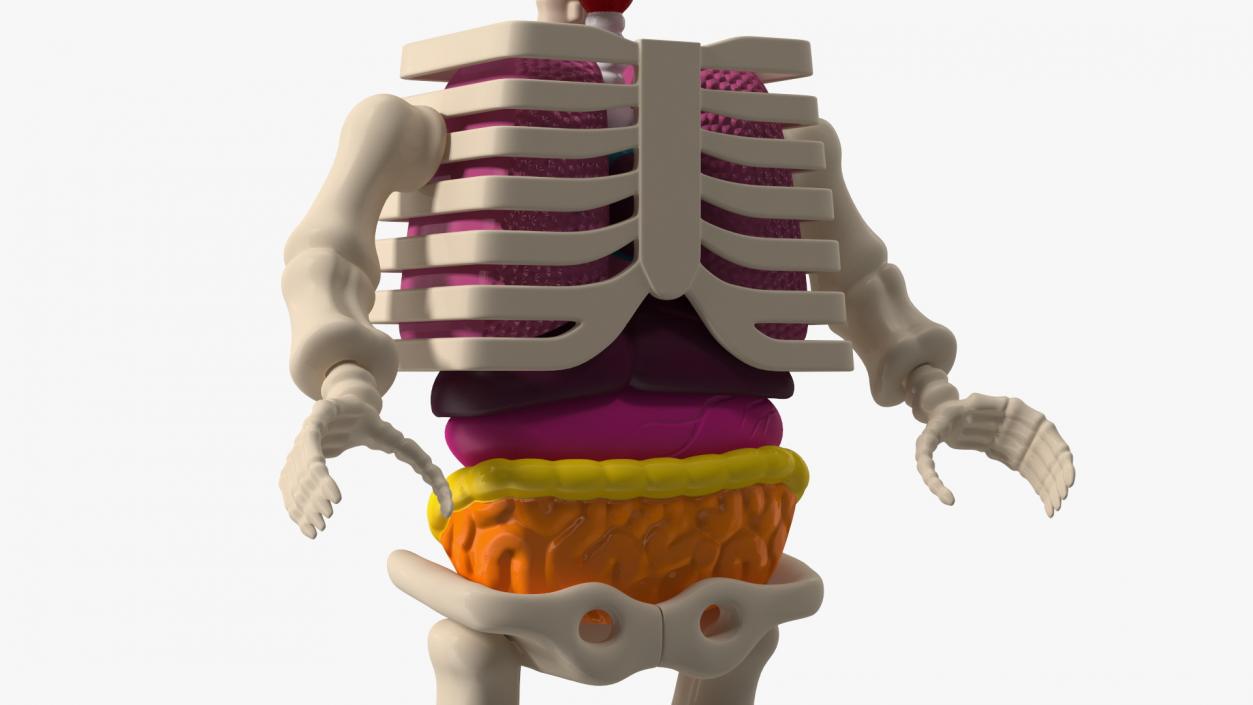 3D Anatomical LEGO Man Transparent