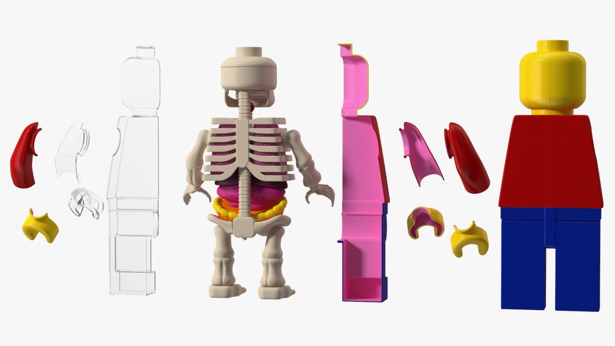 3D Anatomical LEGO Man Transparent