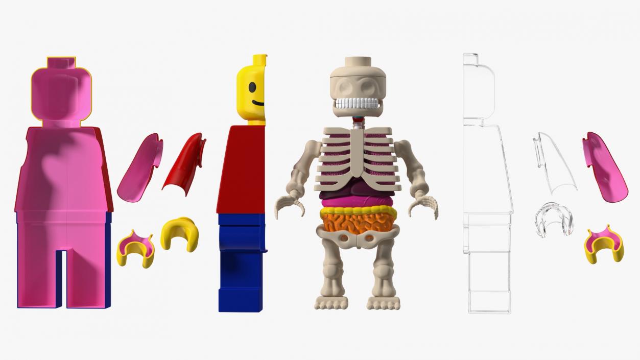 3D Anatomical LEGO Man Transparent