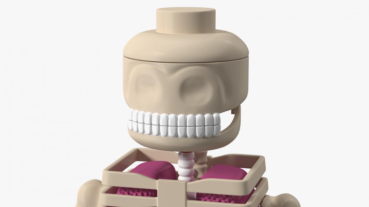 3D Anatomical LEGO Man Transparent