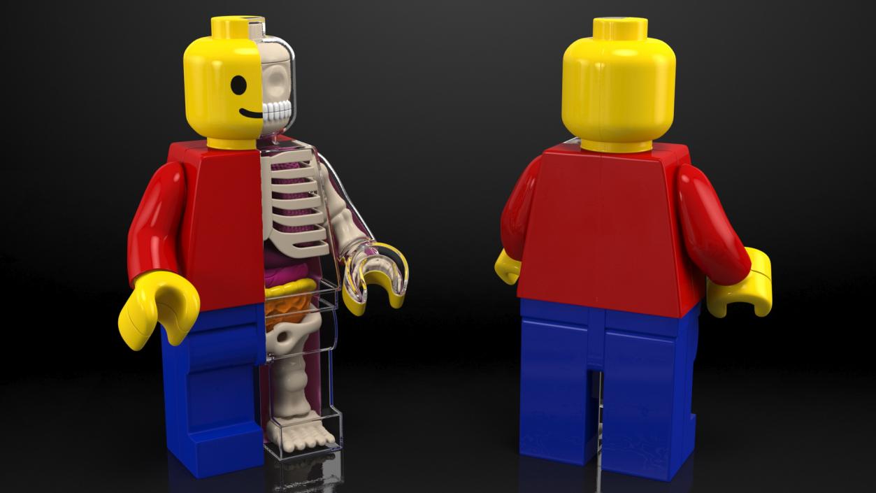 3D Anatomical LEGO Man Transparent