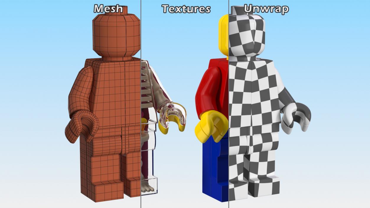 3D Anatomical LEGO Man Transparent